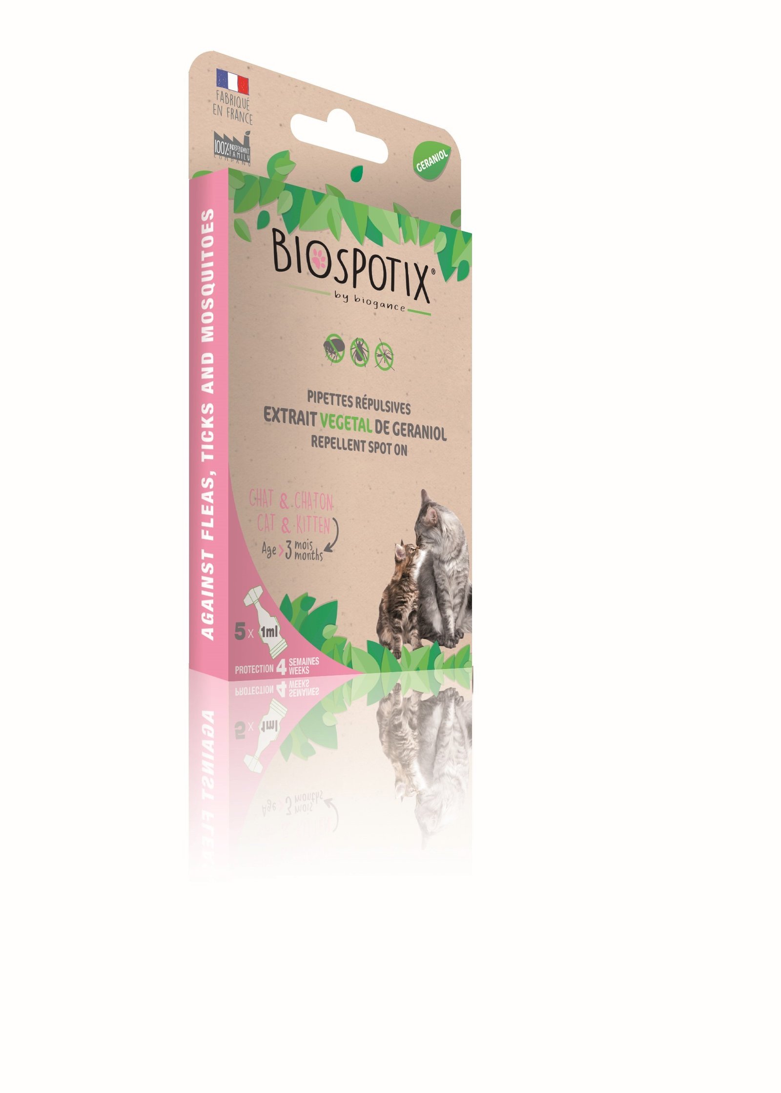 BG Biospotix Cat Spot on 5x1ml