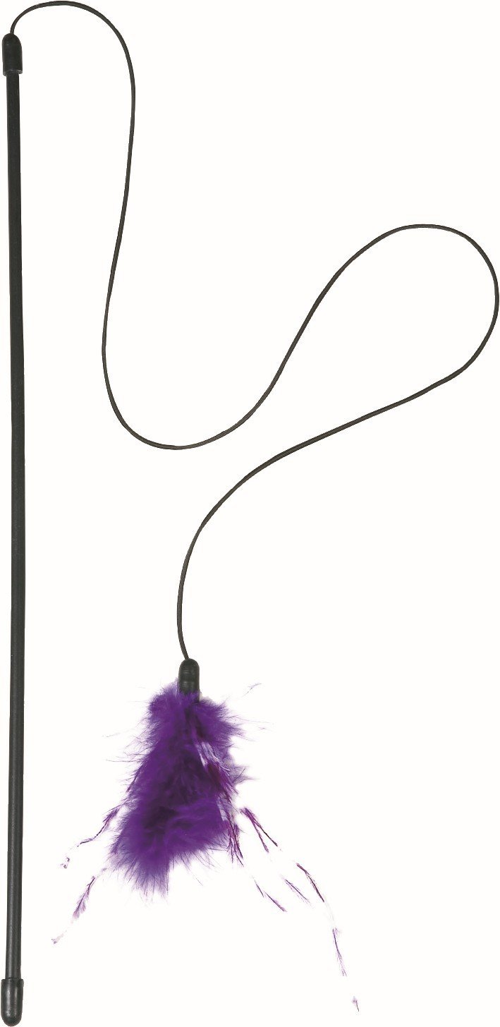 FL 504229 CT rod plumeau