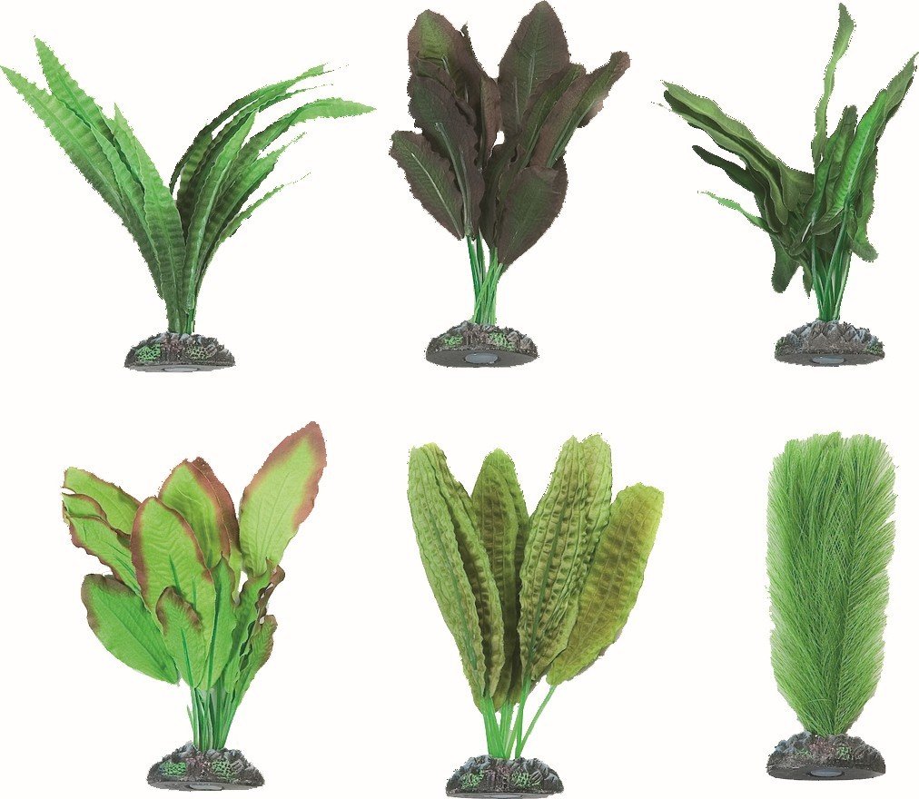 FL 406386 AQ. PLANT SILK CONGO ASS. - XS