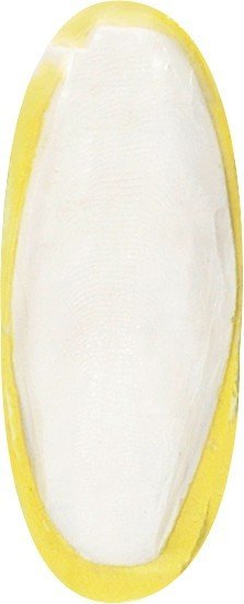 FL 88254 Bird world sepia shel banana