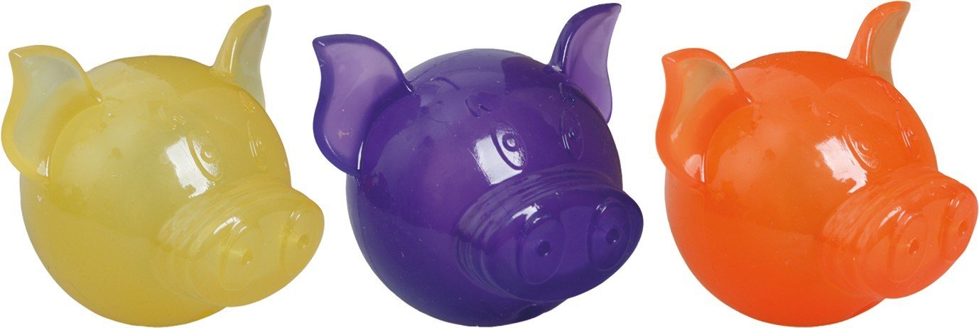 FL 513736 TPR training piggy