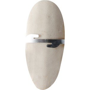 FL 2010025 SEPIA SHELL ON CARD 11CM 2PCS