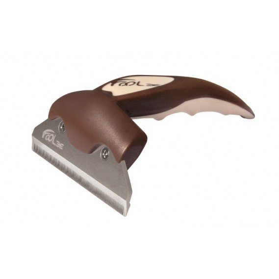 FO TL FoOlee Chocolate