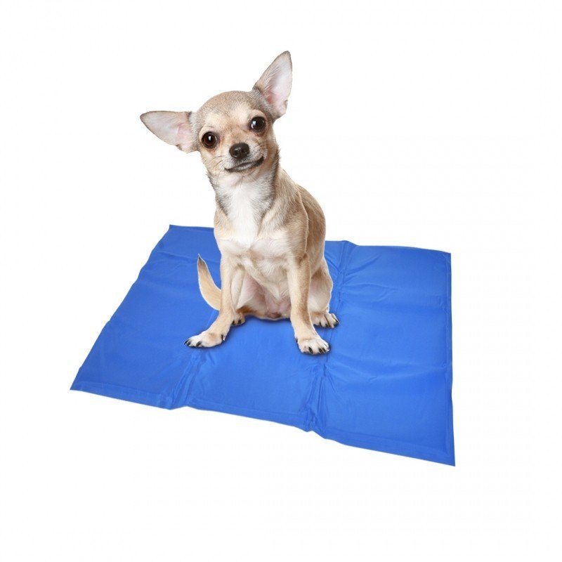 DV 121013 COOLING MAT M - 50x65cm blue