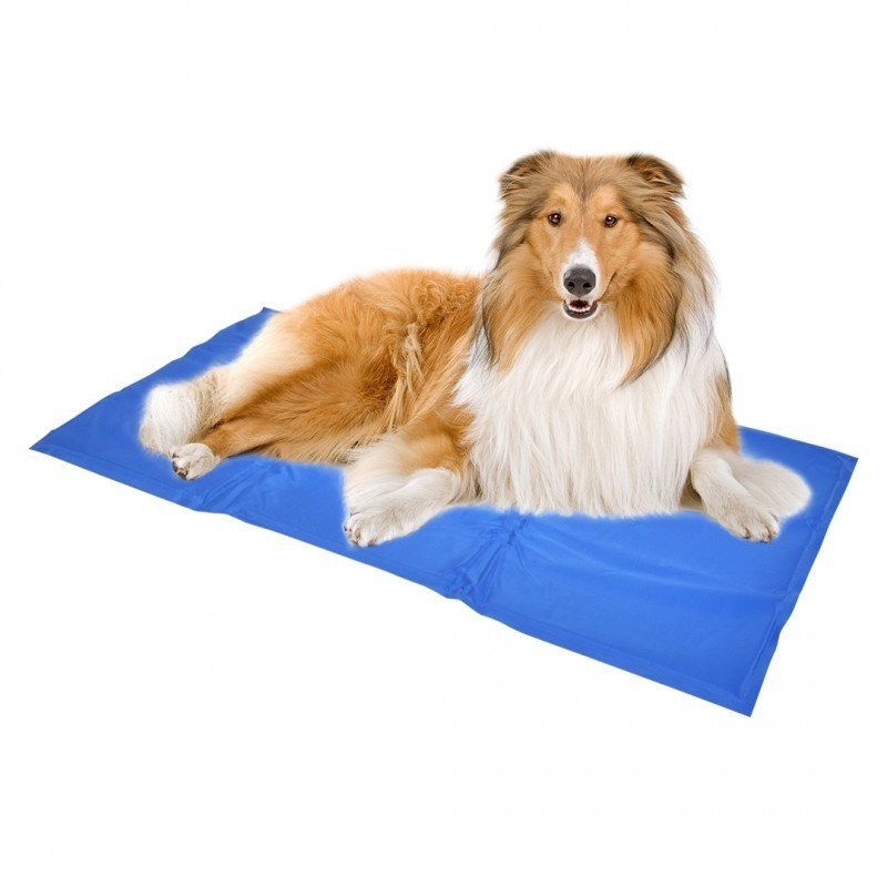 DV 121014 COOLING MAT L - 90x50cm blue