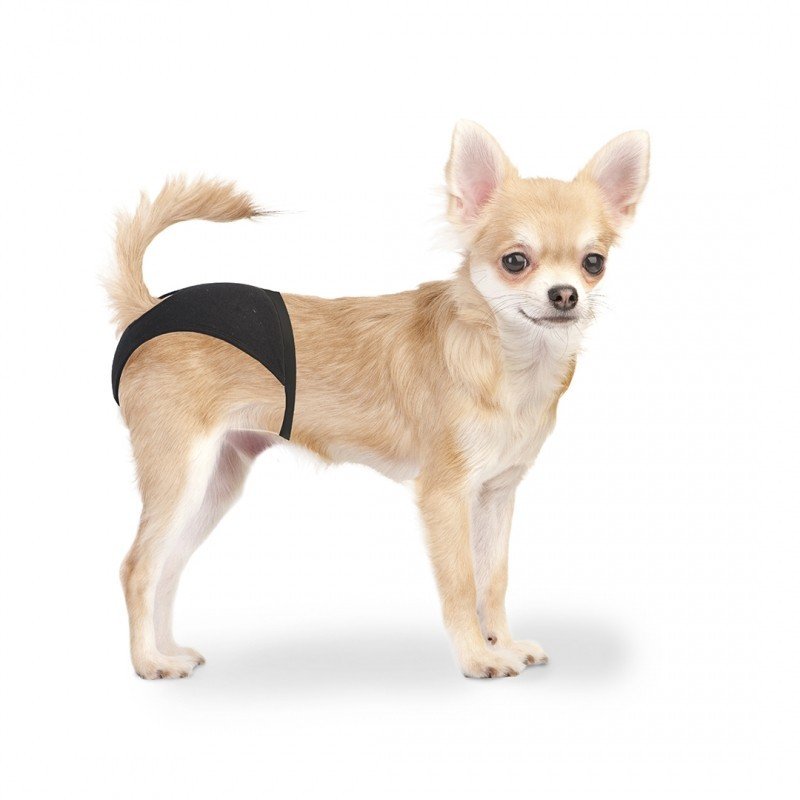 DV 4705122 Dog Pants XS - 18-23cm