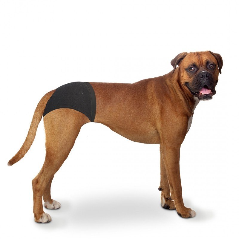 DV 4705125 DOG PANTS L 40-49cm