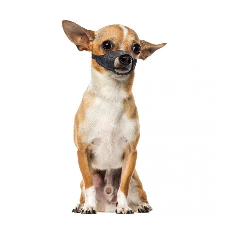 DV 4705131 Safety Dog Muzzle XS 39-51cm