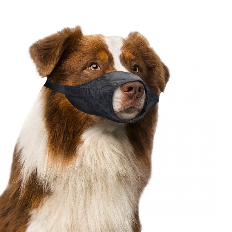 DV 4705133 Safety Dog Muzzle M