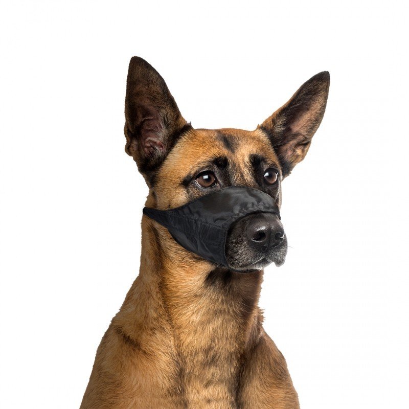 DV 4705134 Safety Dog Muzzle L