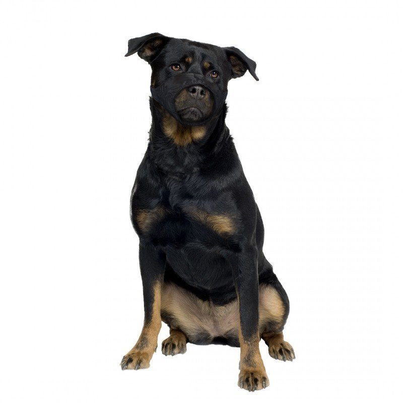 DV 4705136 Safety Dog Muzzle XL