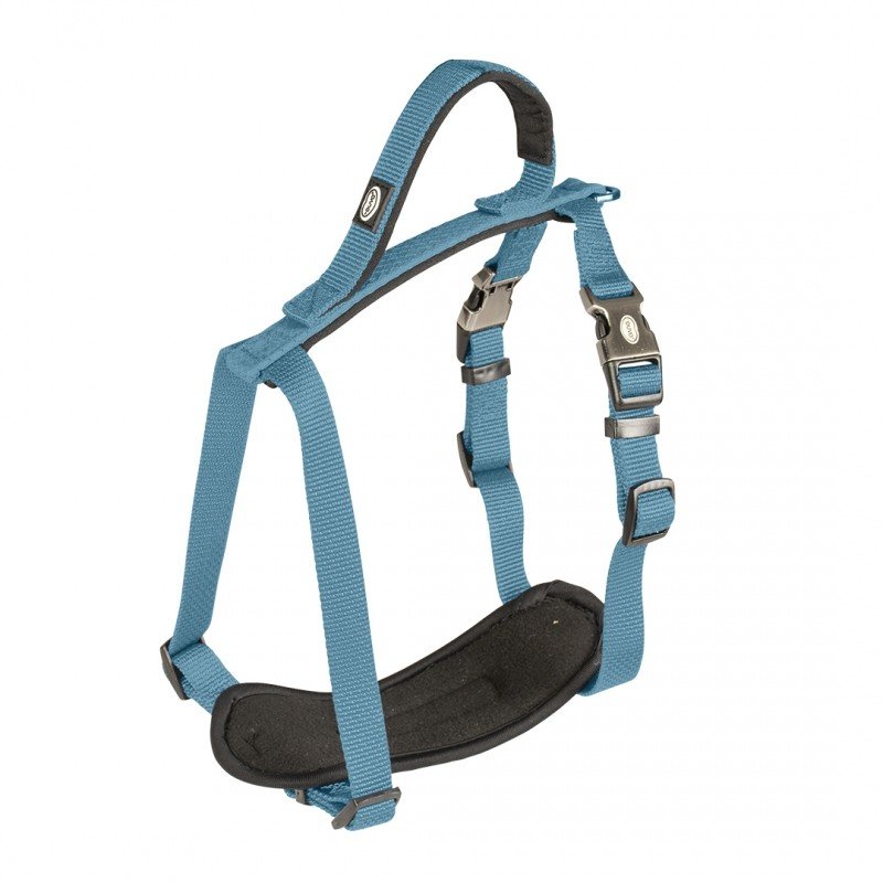 DV 10980 NORTH HARNESS NYLON 65-80cm/25mm petrol