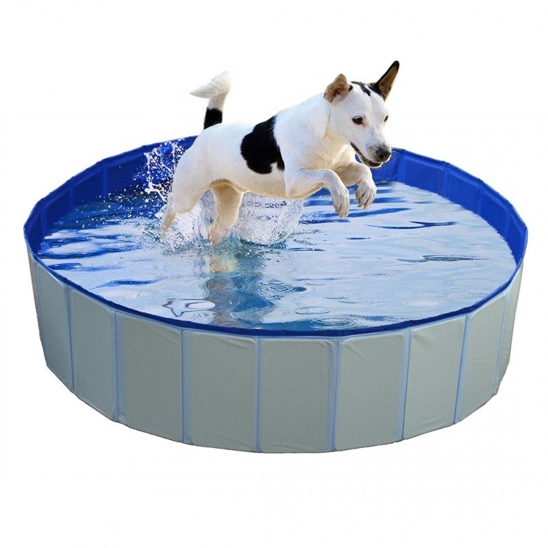 DV 11760 DOG POOL O80x30cm blue