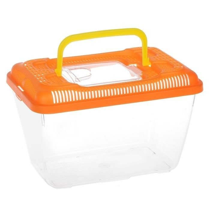 MP Acquarietto ponza 2