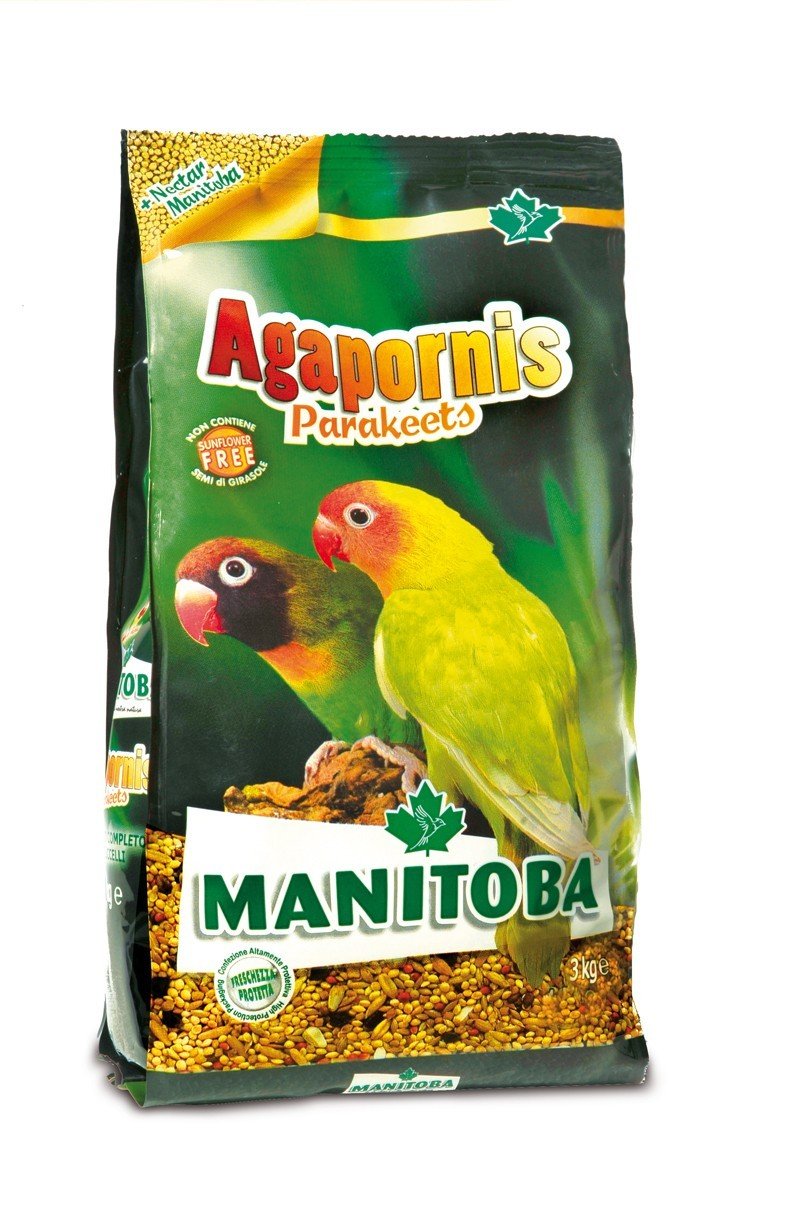MN 20kg Agapornis Parakeets Nimfe