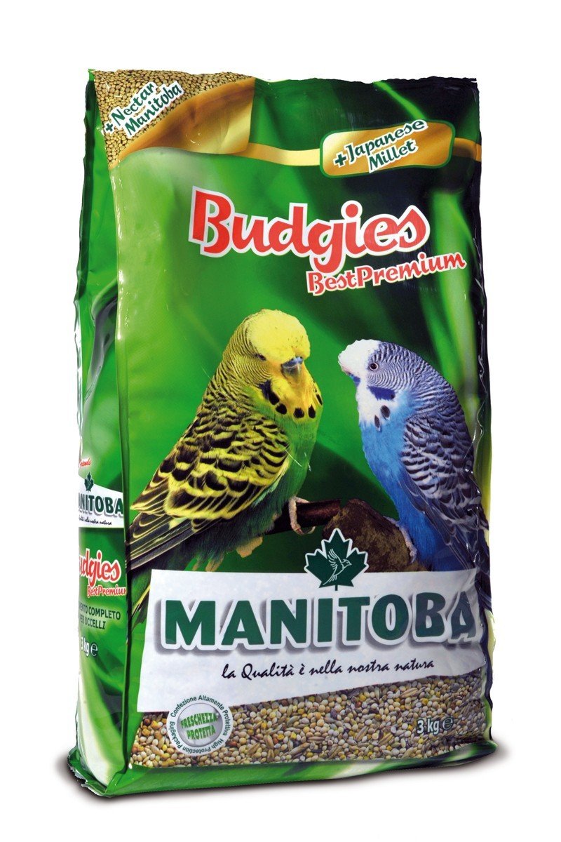 MN 1kg Best Premium Budgies-Cocorite Tigrice