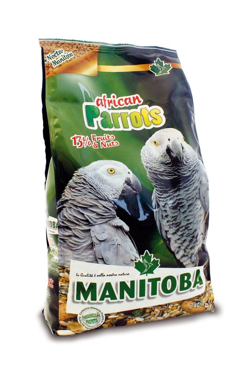 MN 15kg African Parrots